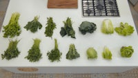 a kitchen counter with a variety of vegetables on it