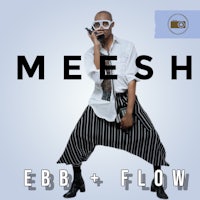 meesh - ebb + flow